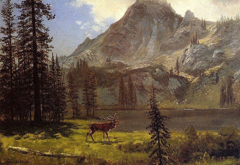Albert Bierstadt Albert Bierstadt Call Of The Wild France oil painting art
